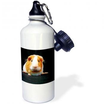 3dRose wb_1062_1 exponenciación deportes botella de agua, 21 oz, blanco