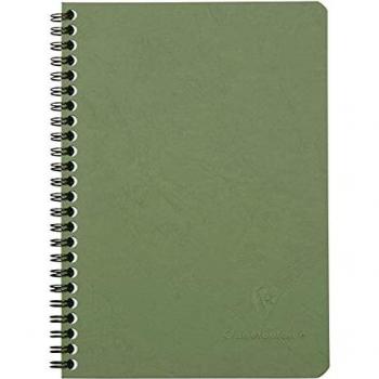 Clairefontaine 785323C - Cuaderno interior cuadricula, 100 páginas, color verde