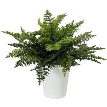 Steinigke Showtechnic Euro Palms de Helecho Busch en Frank Flechtwaren, 51 Hojas, 48 cm, Planta Artificial
