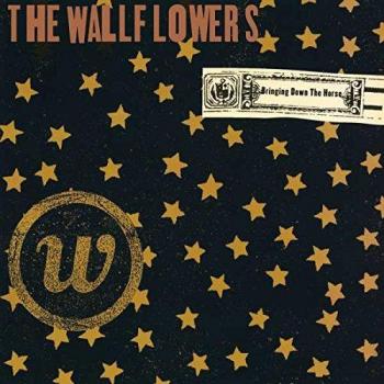 Bringing Down the Horse - Vinyl Record Edition