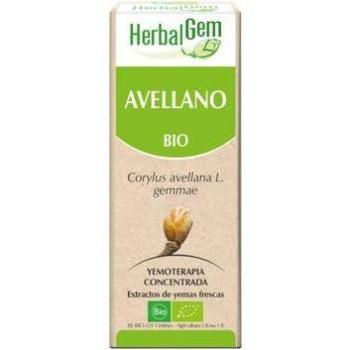 Avellano Macerado Glicerinado 50ml