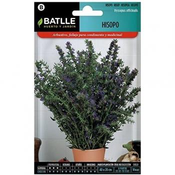 Semillas Aromáticas - Hisopo - Batlle