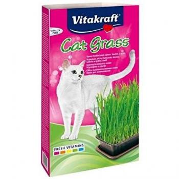 Vitakraft Cat Grass Cat juguete dentro