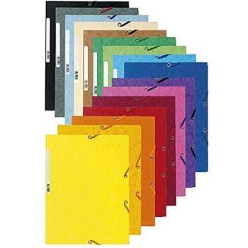 Exacompta 55529E - Carpeta con goma, A4, color limón
