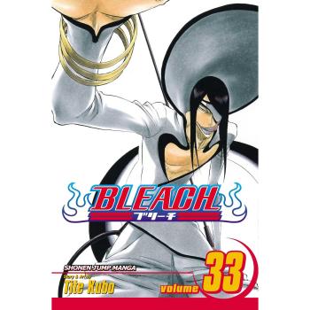 Bleach Volume 33