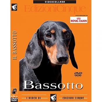 Bassotto