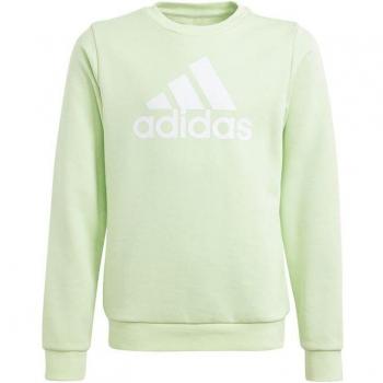 Sudadera Adidas Big Logo para niña - Verde Claro