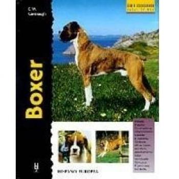 Boxer