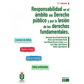 Responsabilidad En El ámbito del Derecho Público y Por La Lesión De Los Derechos fundamentales