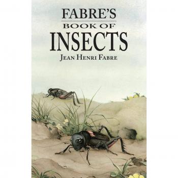 Fabre's Book of Insects