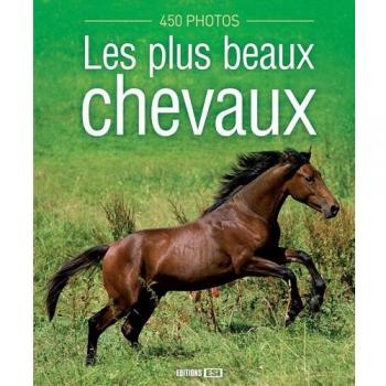 Plus beaux chevaux 450 photos
