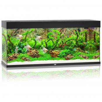 Acuario Juwel Rio LED 240 Negro con iluminación LED integrada, capacidad de 240 litros, dimensiones de 121 x 41 x 50 cm, filtro interno Bioflow M, sistema de calefacción y tapa superior en color negro