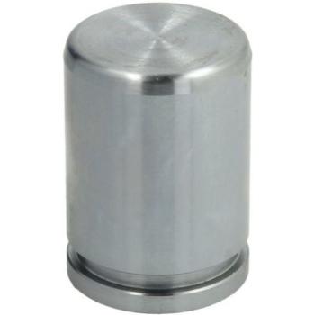 Émbolo de pinza de freno AUTOFREN SEINSA D025550, trasero