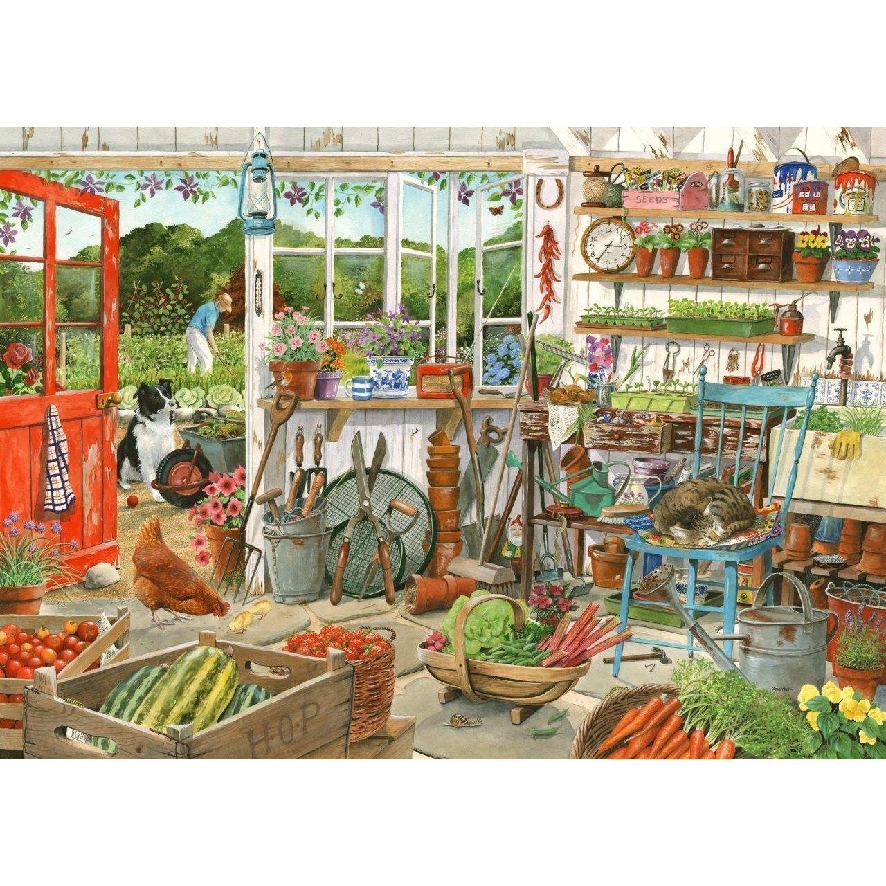 Imagen Principal