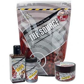 SOURCE DIP CONCENTRATE 100ML