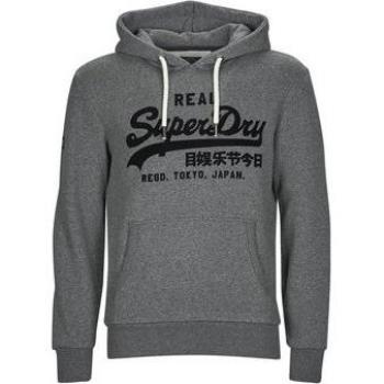 Superdry Tonal Vintage Logo Hoodie Asphalt Grey Grit Size L Men