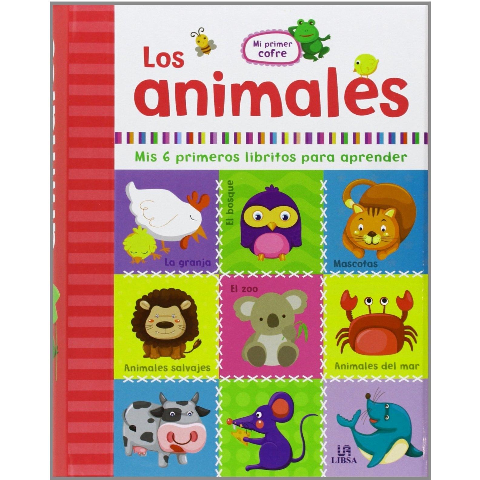 Imagen Principal