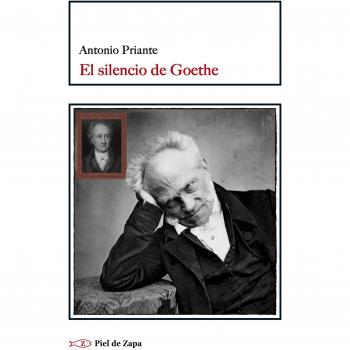 El silencio de Goethe