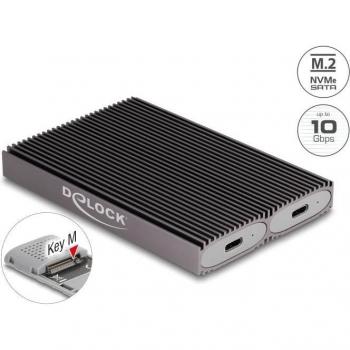 Caja Externa Dual Combo USB Type-C para 2 x M.2 NVMe/SATA SSD, Delock 42028
