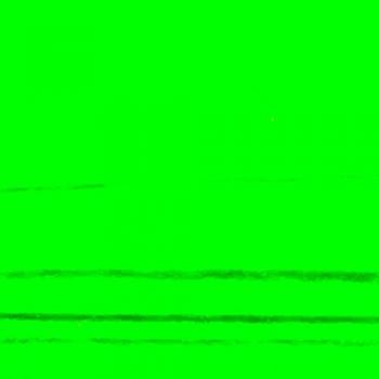 Royal Talens Amsterdam acrílico | Colores y tamaños indicados Brilliant Green 250ml