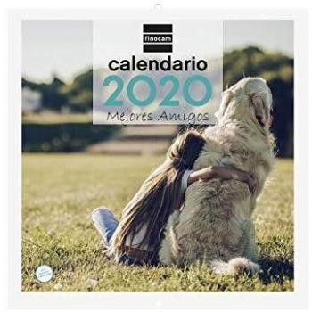 Finocam - Calendario de pared 2020 Imágenes 30x30 Mejores Amigos español