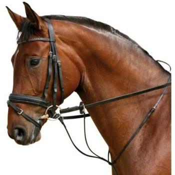 PFIFF Hilfszügel Martingal, Schwarz, Warmblut/Full, 004158-60-Full