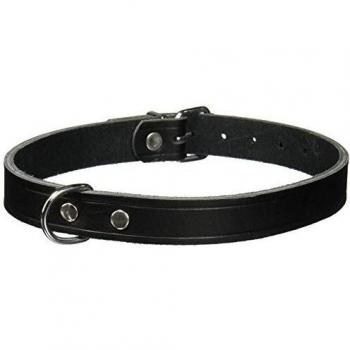 TRIXIE Collar Basic, Piel, M, 37-43 cm/18 mm, Negro, Perro