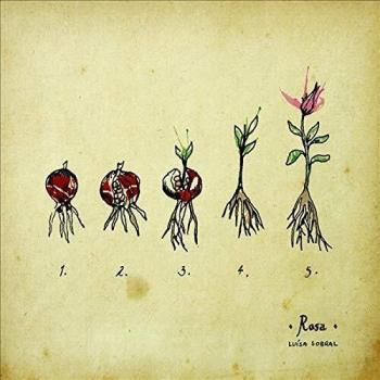Rosa 1 LP