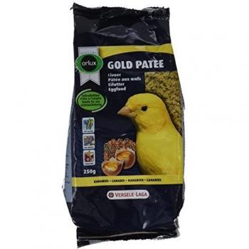 Nobby Orlux Gold Patee, Yellow