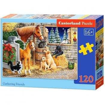 Puzzle Castorland Reunión de Amigos 120 Piezas