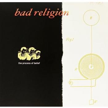 Process of belief vinilo