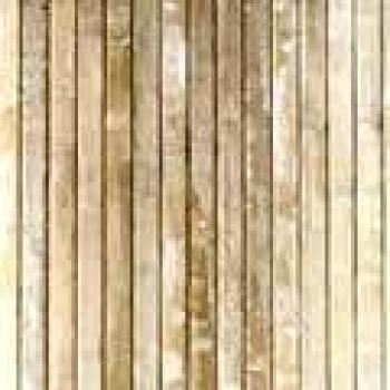 STOR PLANET Alfombra Bamboo Cool Yeso 120 x 180 cm, 100% Bambú, Marrón Claro