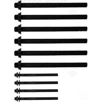 Juego de tornillos de culata REINZ 14-10016-01