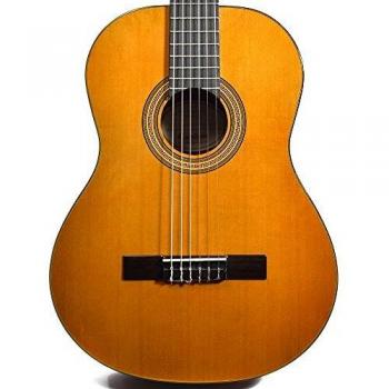 Epiphone Antique Natural Classical Guitar 2 EAP2ANCH1