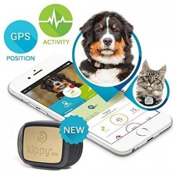 Kippy Vita - GPS y Monitor de Actividad para gatos y perros - Black Guardian