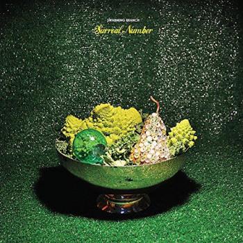 Surreal Number Vinyl Record