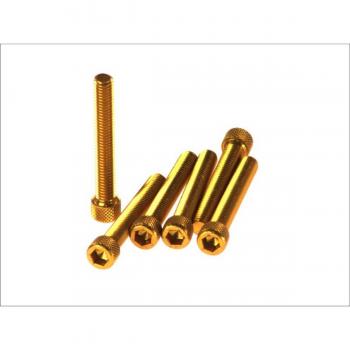 Kit de Tornillos Allen con Cabeza Cilíndrica M8x50 Oro - SS-374 - 8430525042858 / Tornillo de Cabeza Hexagonal M8x50 Oro VICMA VIC-TC850OR