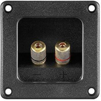 Bornes para Altavoz ABS con Conexión Banana 4 o 6 mm