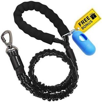morpilot Correa para Perro Elástica, Correa de Nylon Reflectantes para Mascota Grande Mediano con Extensión Fuerte