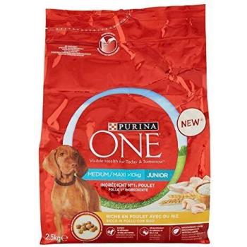 PURINA ONE Croquetas para Perro Junior Pollo con Arroz 2,5 kg
