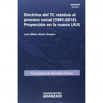 Doctrina del TC relativa al proceso social