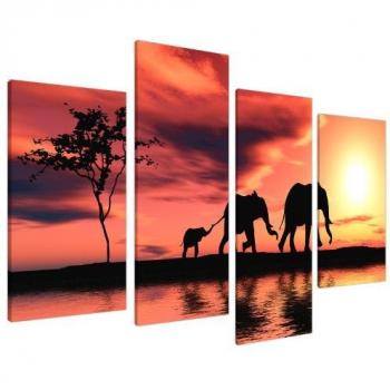 Wallfillers Cuadros en Lienzo Grande Puesta de Sol África Elefantes Imágenes XL 4102
