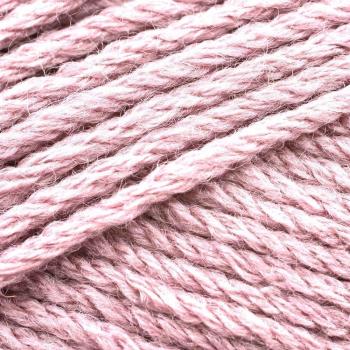 Bergere de France Magic + - Ancolie