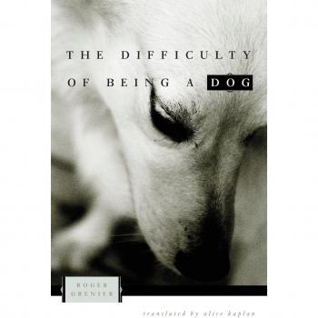 The Difficulty of Being a Dog