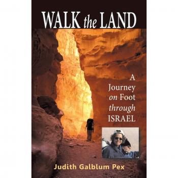 Walk the Land: A Guided Hiking Experience in Israel by Judith Galblum Pex