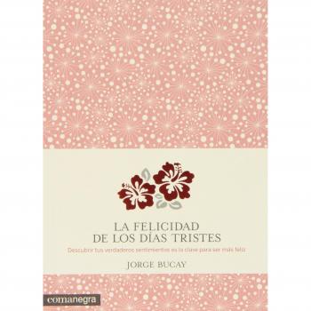 La Felicidad De Los Días Tristes - Bucay Jorge