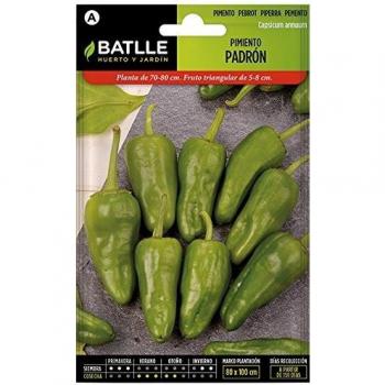 Pimiento PADRON