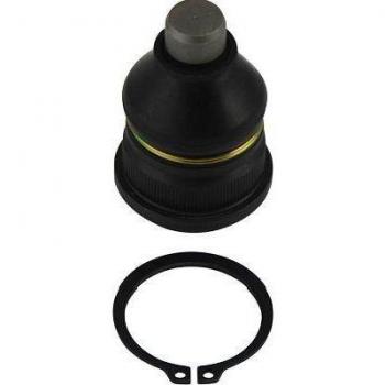 Rótula de suspensión KAVO PARTS SBJ-6505