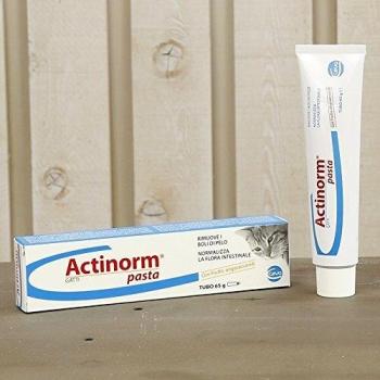 Actinorm Pasta Gatos 65g