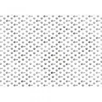4 hojas A4 Craft Creations decorativo impreso Creative Card - boquera impresiones de la pata y espinas 240gsm 300mic cartulina - impreso llano frontal blanco